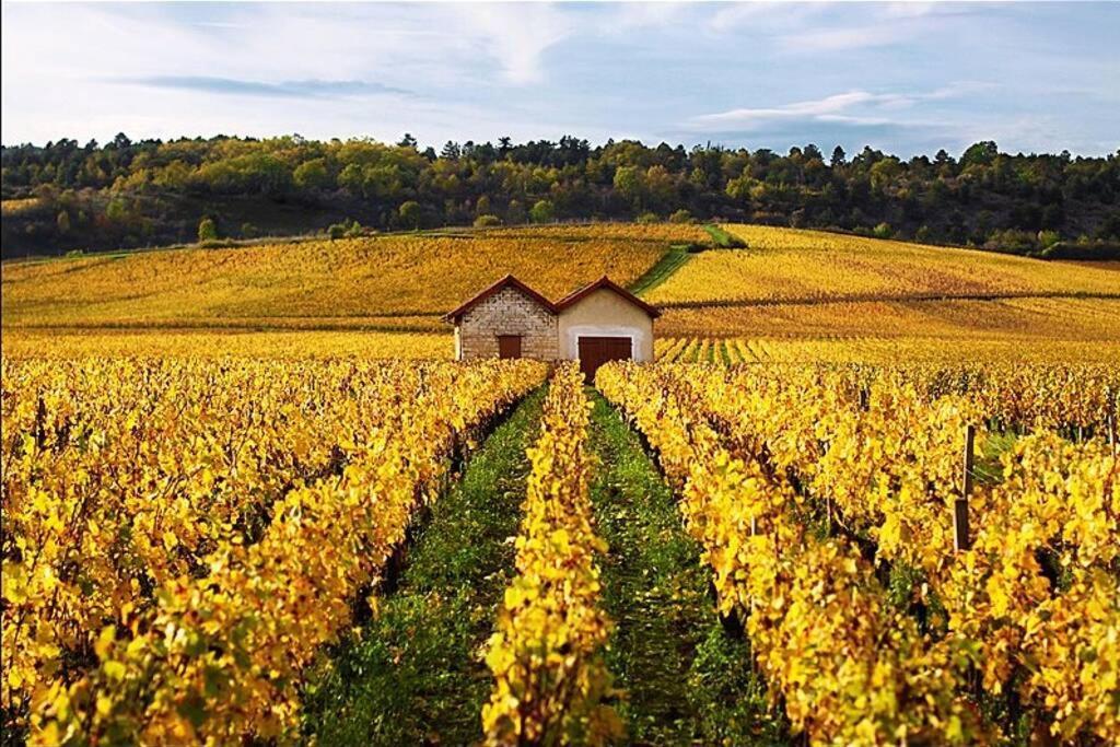 La Petite Cour Beaune (Cote d'Or) Exterior foto